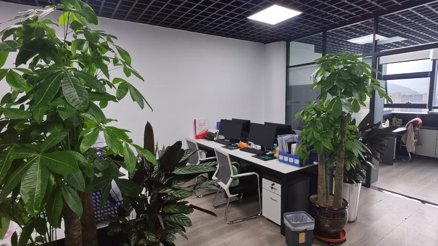 公华财务咨询 专业财务咨询服务的价值与实践
