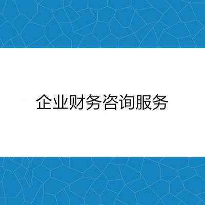 企业财务咨询服务 赋能企业稳健发展的专业引擎